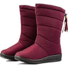 iciConfort © Chaussures d'Hiver pour Femmes XX013: Bottes de Neige